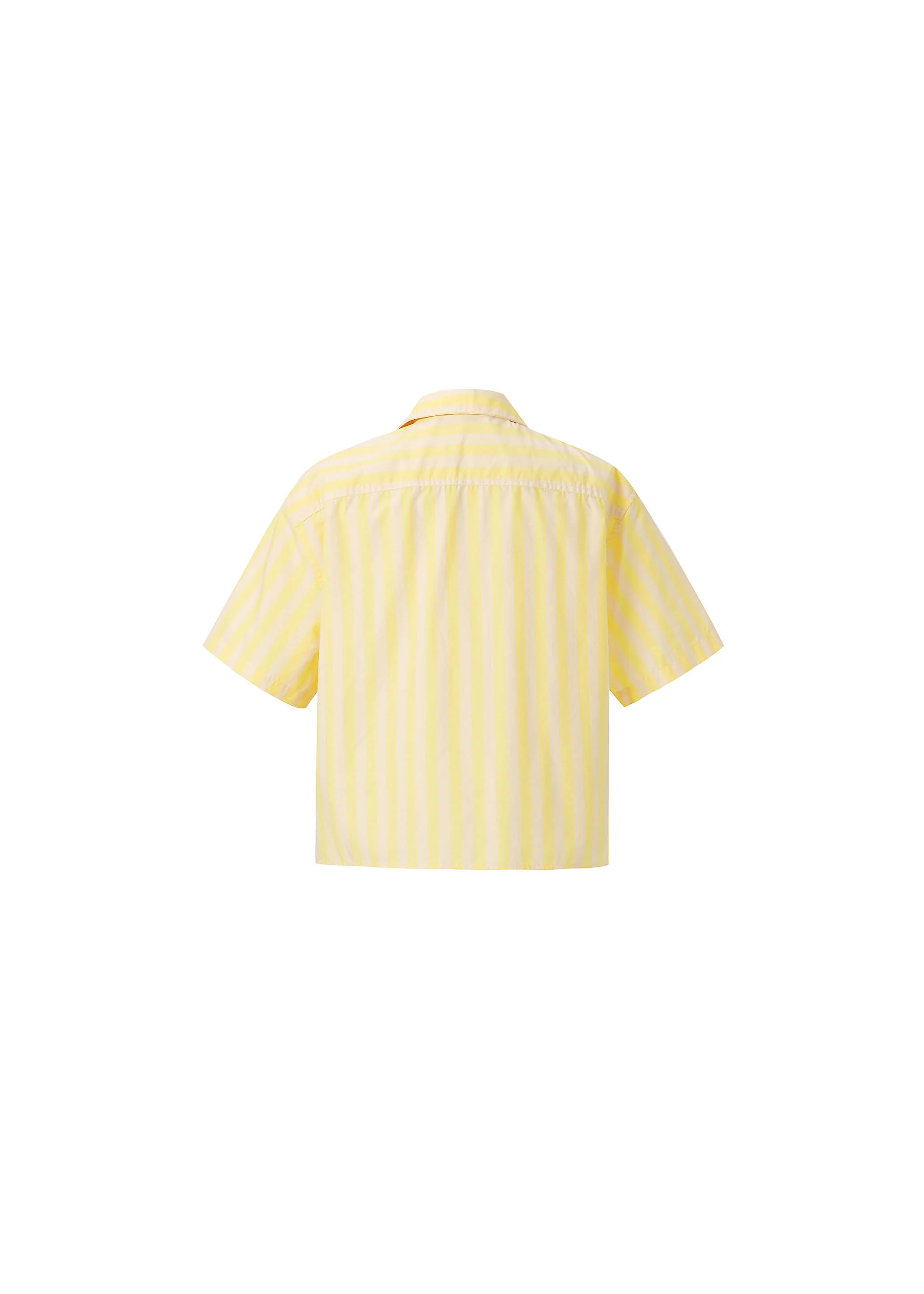 Chemise MARINA Beurre - Image 6